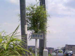 おもしろスポット(看板・落書き等) おもしろスポット(看板・落書き等)