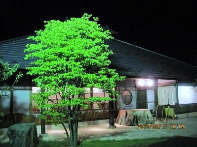 うどん屋、そば屋! ここがウマイ! うどん屋、そば屋! ここがウマイ!